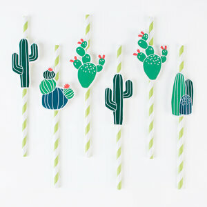 pailles - cactus